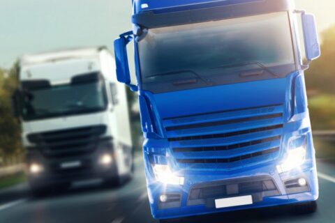 fotolia_50072102-1024x1024